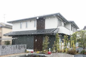 フェリシード花水木 0201号-1