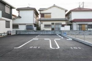 ＳｈａＭａｉｓｏｎ　Ｓｉａｍｅｓｅ 0201号-2