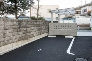 ＳｈａＭａｉｓｏｎ　Ｓｉａｍｅｓｅ 0201号-3