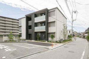 エクラシエ　セット 0101号-1