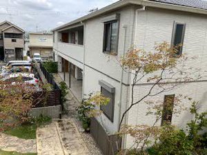 メゾンエイト 0102号-15