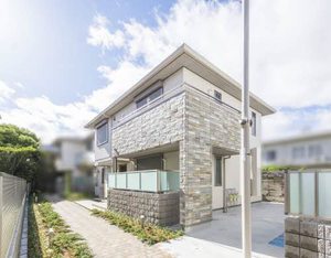 Ｓｈａｍａｉｓｏｎ　Ｃｙｇｎｕｓ 0201号-1