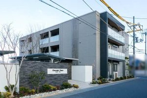 ショコラ　プラス