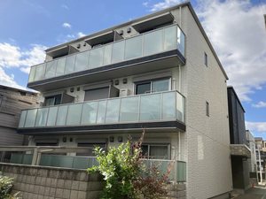 Ｓｈａｍａｉｓｏｎ　Ｎｏｉｘ　Ｅｓｐｏｉｒ 0306号-1