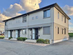 テネラメンテ B201号-1