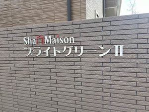 ブライト　グリーンⅡ 0202号-15