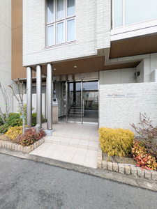 ＳｈａＭａｉｓｏｎ瑞光 0301号-2