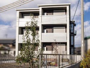 フェリシード 0303号-1