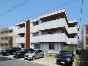 ＳｈａＭａｉｓｏｎ　Ｎｏｎｎｏ 0206号-1