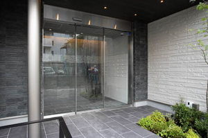 ｖｉｎｃｕｌｕｍ　ＡＫ 0103号-12