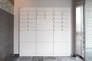 ｖｉｎｃｕｌｕｍ　ＡＫ 0103号-13