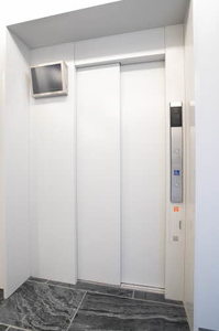 ｖｉｎｃｕｌｕｍ　ＡＫ 0103号-14