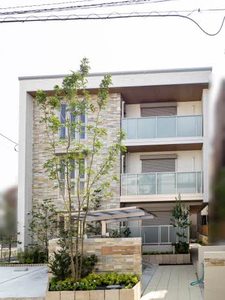 Ｓｈａｍａｉｓｏｎ　Ｄｒｅａｍｉｏ