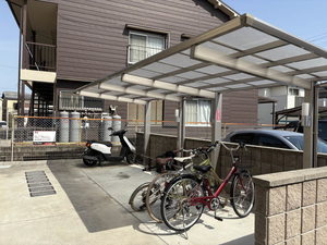 Ｆｅｌｉｓｅｅｄ　Ｐｒｕｇｎａ 0103号-4