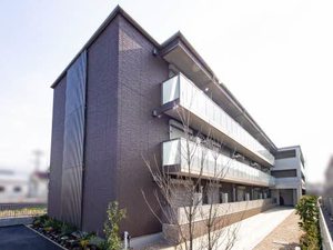 ＳｈａＭａｉｓｏｎ　ＳＯＬＵＴＩＯＮＳ　Ⅷ 0205号-1