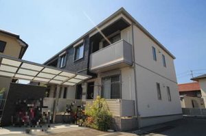 ケンタッキーブルーグラス