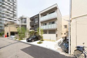 ＳｈａＭａｉｓｏｎ　Ｔｉｇｒｅ