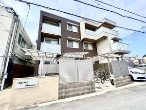 ＭＹＭＳ　Ｓｈａｍａｉｓｏｎ