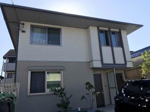 デュオ　フローラ 0101号-1