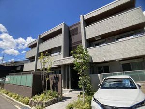 ＳｈａＭａｉｓｏｎ　ｖｉｏｌａ