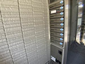 ＳｈａＭａｉｓｏｎ　ｖｉｏｌａ 0101号-12