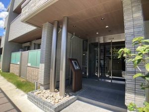 ＳｈａＭａｉｓｏｎ　ｖｉｏｌａ 0101号-13