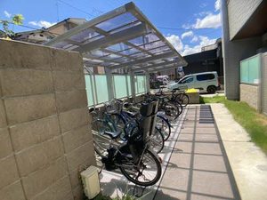 ＳｈａＭａｉｓｏｎ　ｖｉｏｌａ 0101号-14