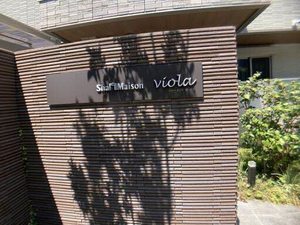 ＳｈａＭａｉｓｏｎ　ｖｉｏｌａ 0101号-15