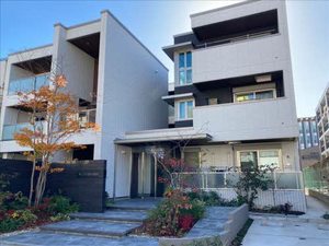 コモド　ヴェルデ