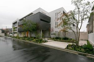 ラフィ　シャルール 0105号-1