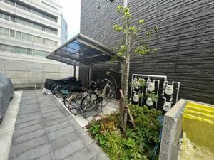 Cuorell Ⅱ 0301号-4