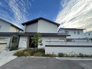 ＳｈａＭａｉｓｏｎ　Ｃｏｓｍｏｓ