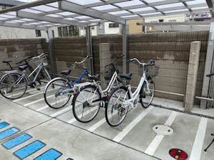 ＳｈａＭａｉｓｏｎ　Ｅｎｃｈａｎｔｅ 0202号-15