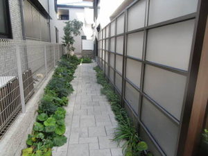 Ｓｈａ　Ｍａｉｓｏｎ　ＵＨＯ 0201号-14