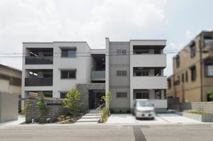 オキザリス　プルプレア