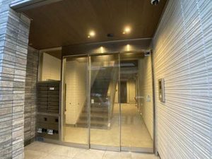 オキザリス　プルプレア 0201号-2