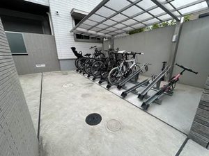 オキザリス　プルプレア 0201号-4