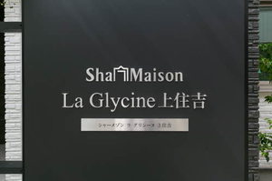Ｓｈａｍａｉｓｏｎ　Ｌａ　Ｇｌｙｃｉｎｅ 0203号-12