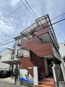 ピュアレイ 0303号-1