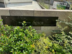 シャーメゾン　スピカ 0203号-4