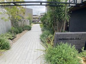 ＳｈａＭａｉｓｏｎ　ＬＥＡ　ＬＥＡ　ＯＨＡＮＡ B101号-2