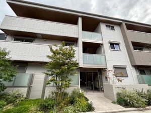 Ｓｈａｍａｉｓｏｎ　Ｃｉｅｌ 0101号-1