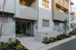 Ｓｈａｍａｉｓｏｎ　Ｃｉｅｌ 0101号-14