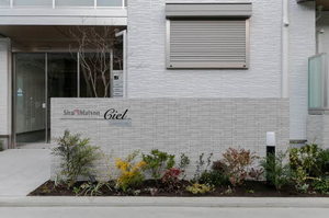 Ｓｈａｍａｉｓｏｎ　Ｃｉｅｌ 0101号-15