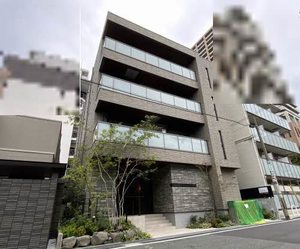 Ｓｈａｍａｉｓｏｎ　Ｃｉｔｒｕｓ 0401号-1