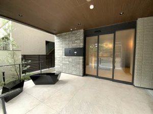 Ｓｈａｍａｉｓｏｎ　Ｃｉｔｒｕｓ 0401号-12