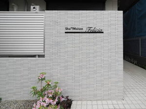 ＳｈａＭａｉｓｏｎ　Ｆｅｌｉｃｉａ 0301号-7