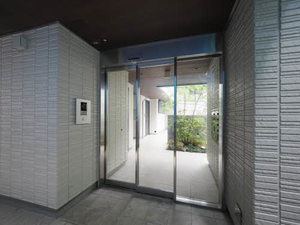 ＳｈａＭａｉｓｏｎ　Ｆｅｌｉｃｉａ 0301号-9