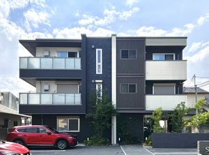 Ｓｔａｒ　Ｏ 0206号-1