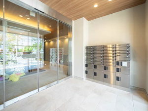 Ｐｌａｃｉｄｅ　Ｋ 0307号-13